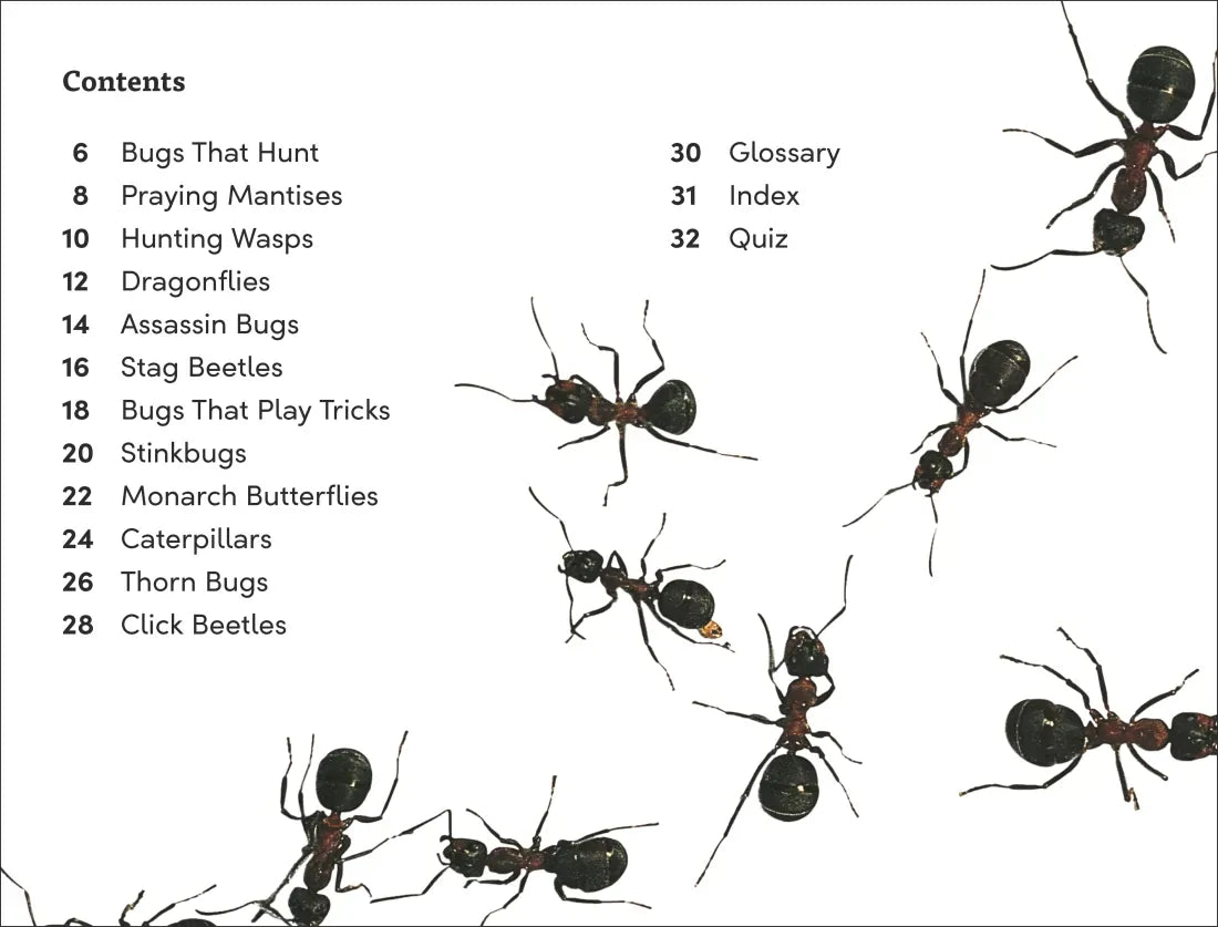 DK Super Readers Level 3 Bugs! Bugs! Bugs! US - Hardback