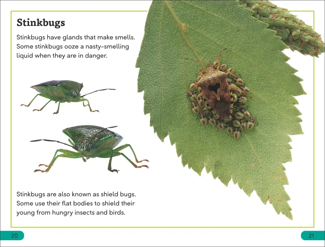 DK Super Readers Level 3 Bugs! Bugs! Bugs! US - Hardback