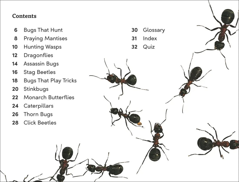 DK Super Readers Level 3 Bugs! Bugs! Bugs! US - Hardback