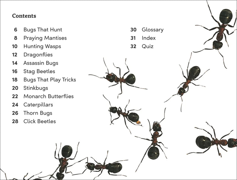 DK Super Readers Level 3 Bugs! Bugs! Bugs! US - Paperback / softback