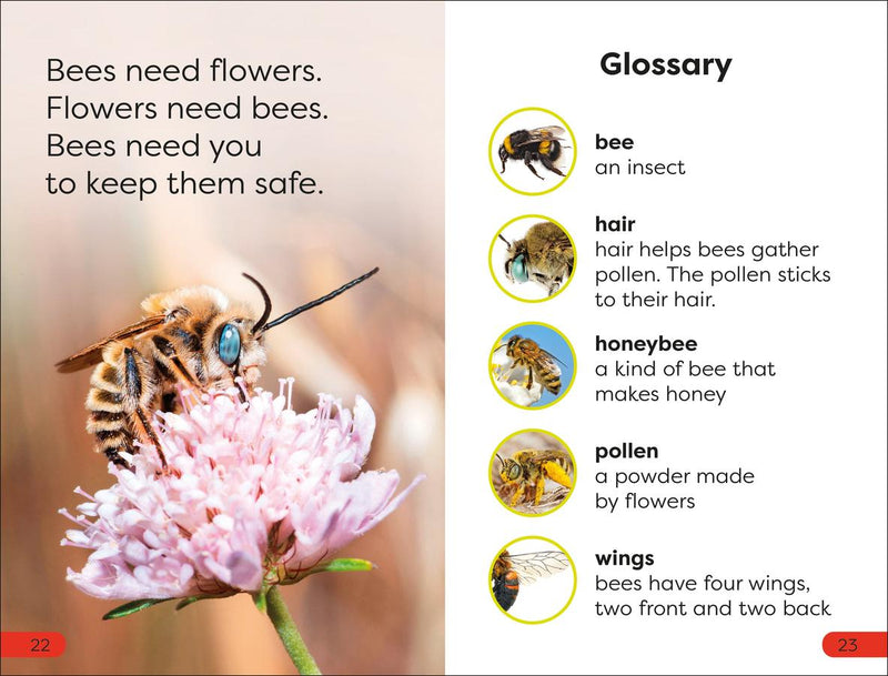 DK Super Readers Pre-Level Save the Bees US - Paperback / softback