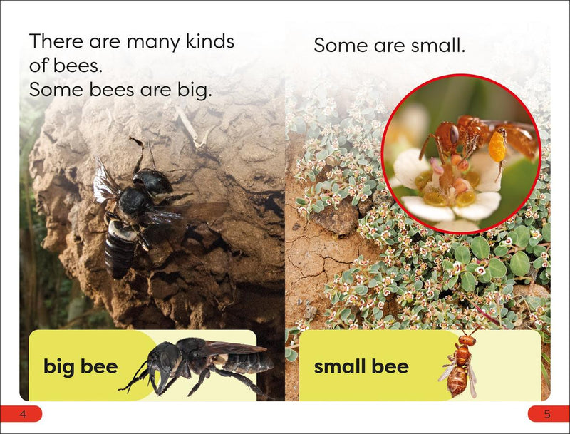 DK Super Readers Pre-Level Save the Bees US - Paperback / softback