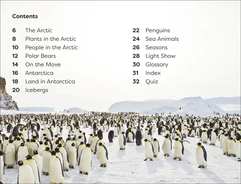 DK Super Readers Level 1 Frozen Worlds US - Paperback / softback