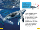 DK Super Readers Level 2 Journey of a Humpback Whale US - Hardback