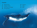 DK Super Readers Level 2 Journey of a Humpback Whale US - Hardback