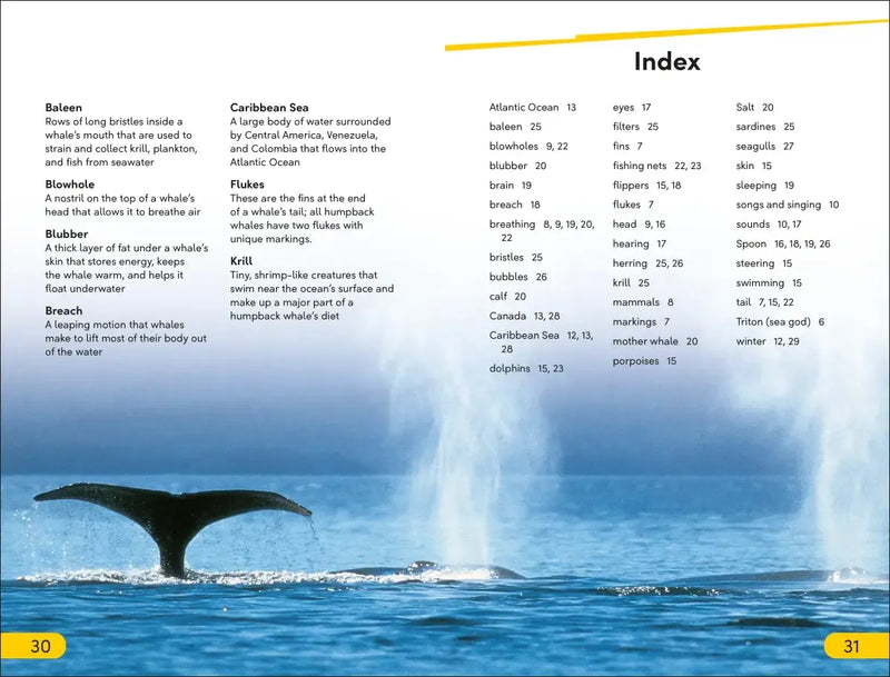 DK Super Readers Level 2 Journey of a Humpback Whale US - Hardback