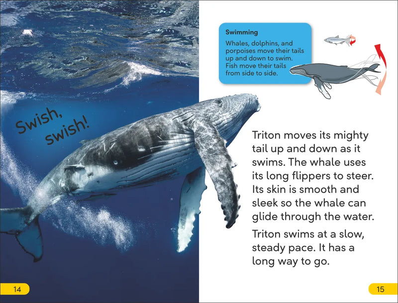 DK Super Readers Level 2 Journey of a Humpback Whale US - Paperback / softback