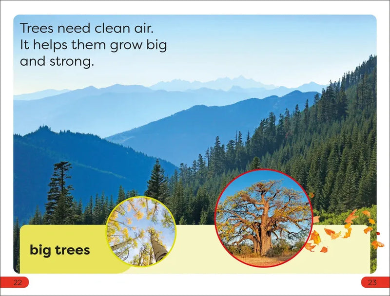 DK Super Readers Pre-Level Save the Trees US - Paperback / softback