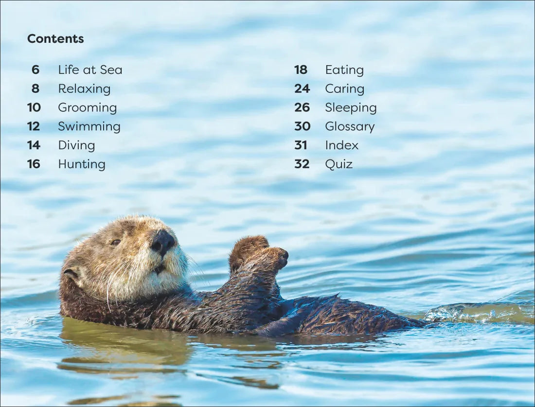 DK Super Readers Level 1 Sea Otters US - Hardback