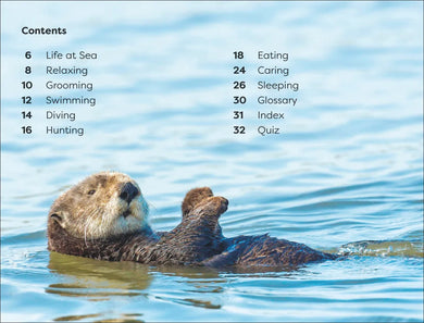 DK Super Readers Level 1 Sea Otters US - Hardback
