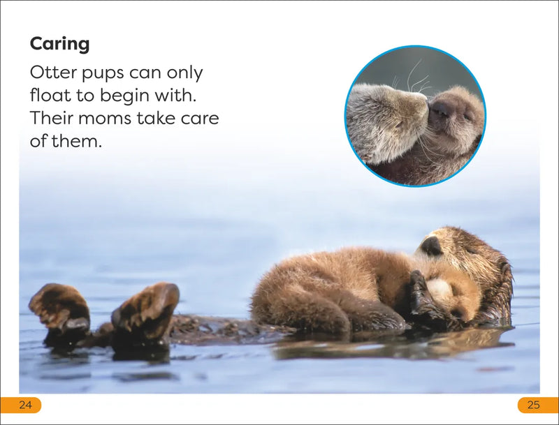 DK Super Readers Level 1 Sea Otters US - Hardback