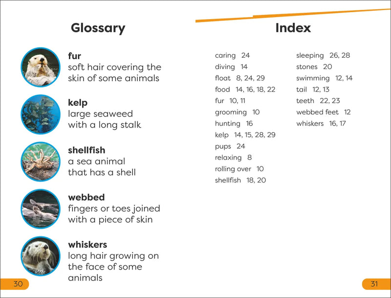 DK Super Readers Level 1 Sea Otters US - Hardback
