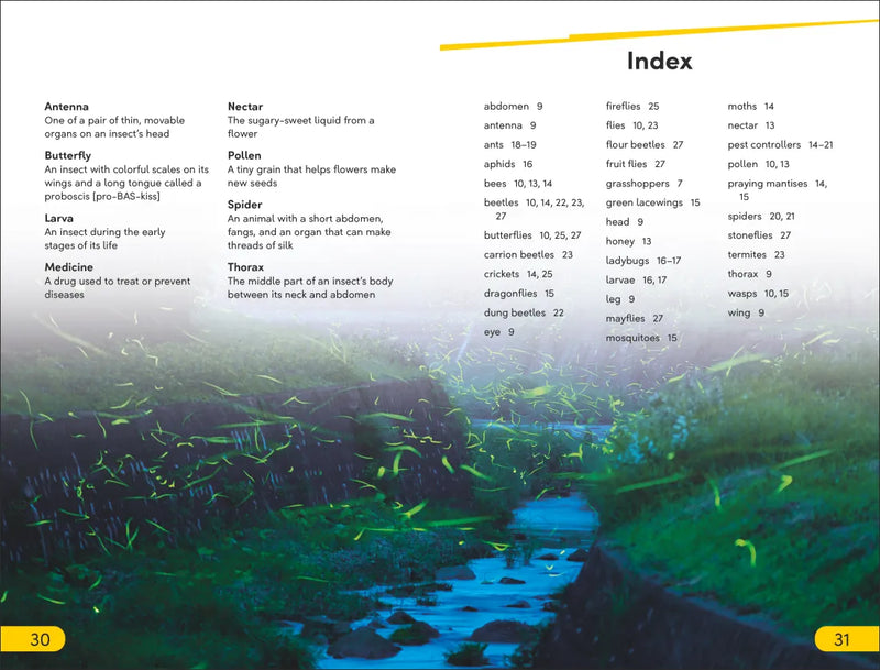 DK Super Readers Level 2 Bugs and Us US - Paperback / softback