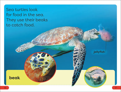 DK Super Readers Pre-Level Save the Sea Turtles US - Hardback
