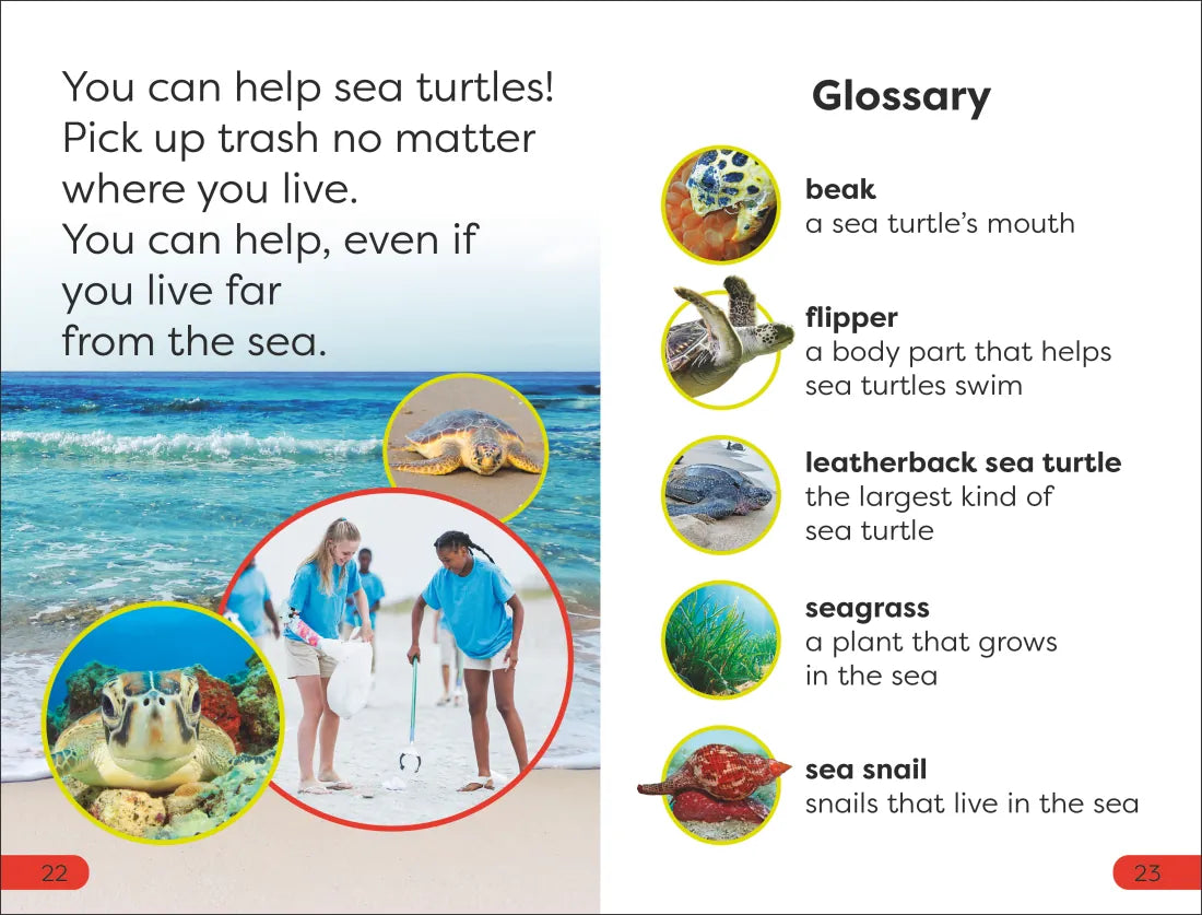 DK Super Readers Pre-Level Save the Sea Turtles US - Hardback