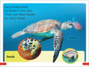 DK Super Readers Pre-Level Save the Sea Turtles US - Paperback / softback