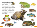 DK Super Readers Level 1 Frogs and Toads US - Hardback