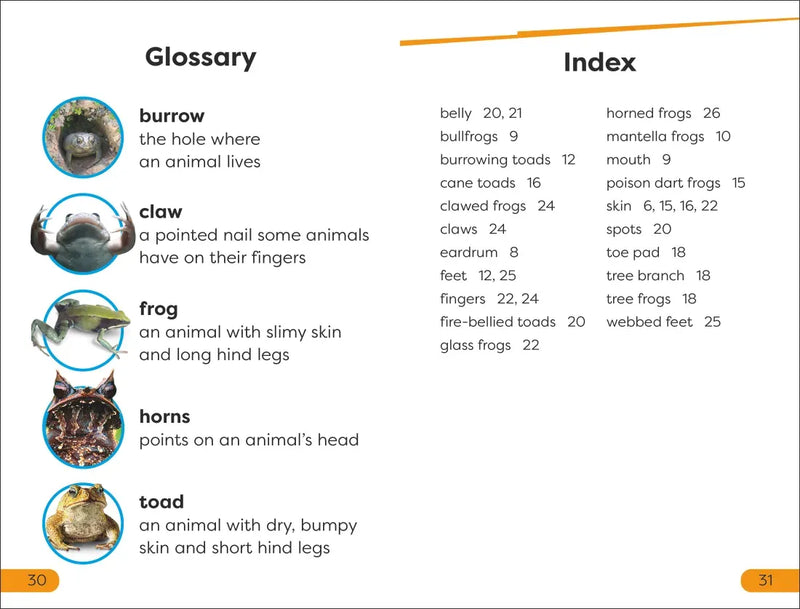 DK Super Readers Level 1 Frogs and Toads US - Hardback