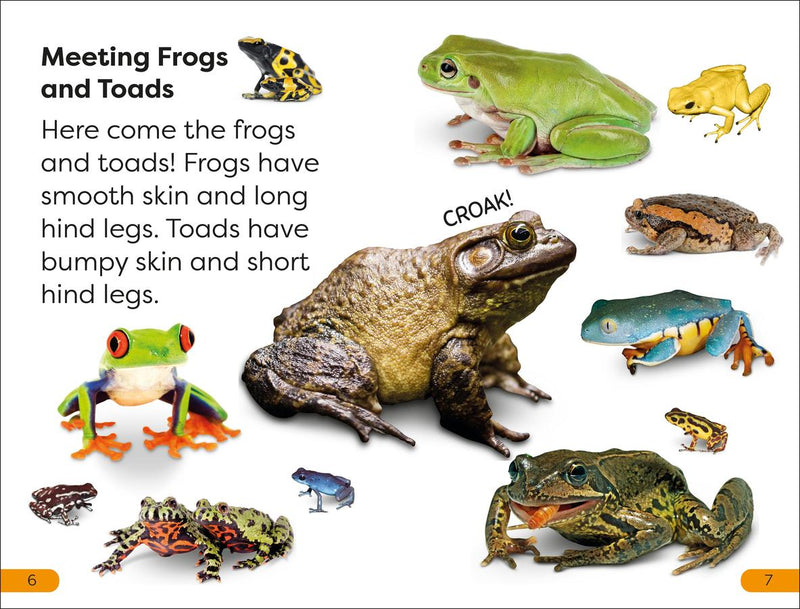 DK Super Readers Level 1 Frogs and Toads US - Paperback / softback
