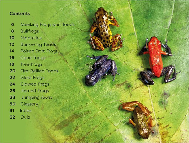 DK Super Readers Level 1 Frogs and Toads US - Paperback / softback