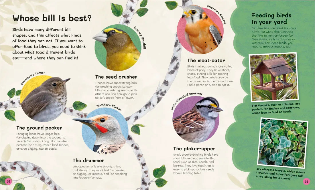 The Children's Book of Birdwatching US - Hardback