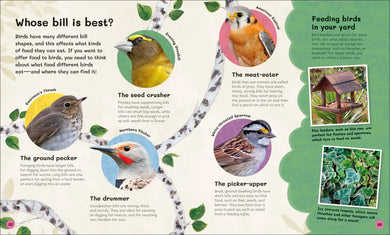 The Children's Book of Birdwatching US - Hardback