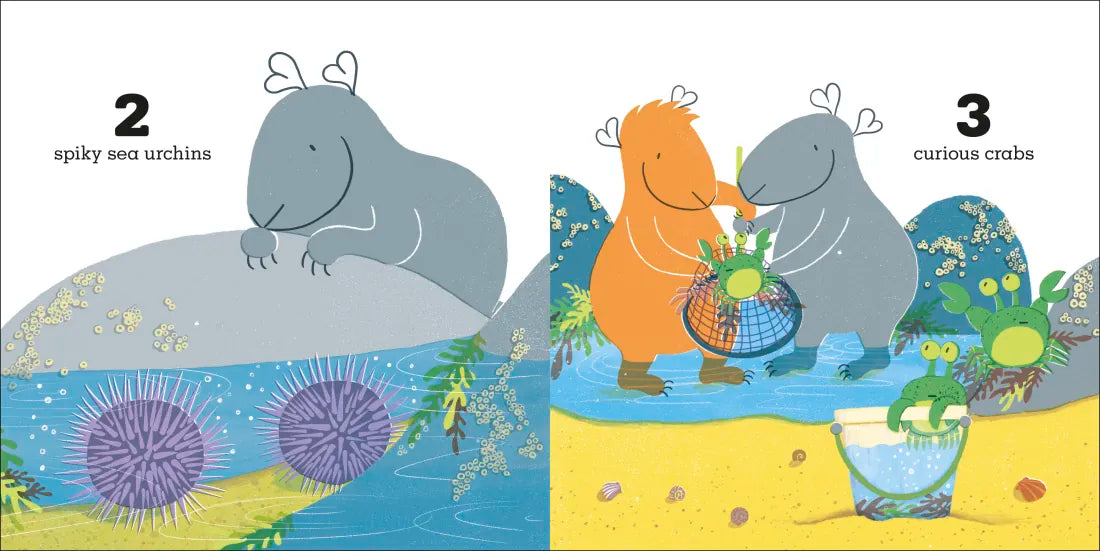 Guinea Pigs Go to the Beach US - Board book