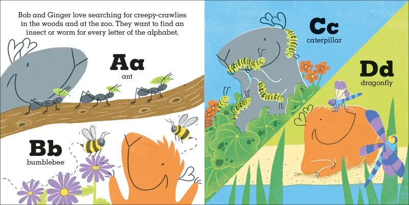 Guinea Pigs Go Bug Hunting US - Board book