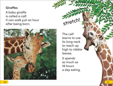 DK Super Readers Level 2 Wild Baby Animals US - Hardback