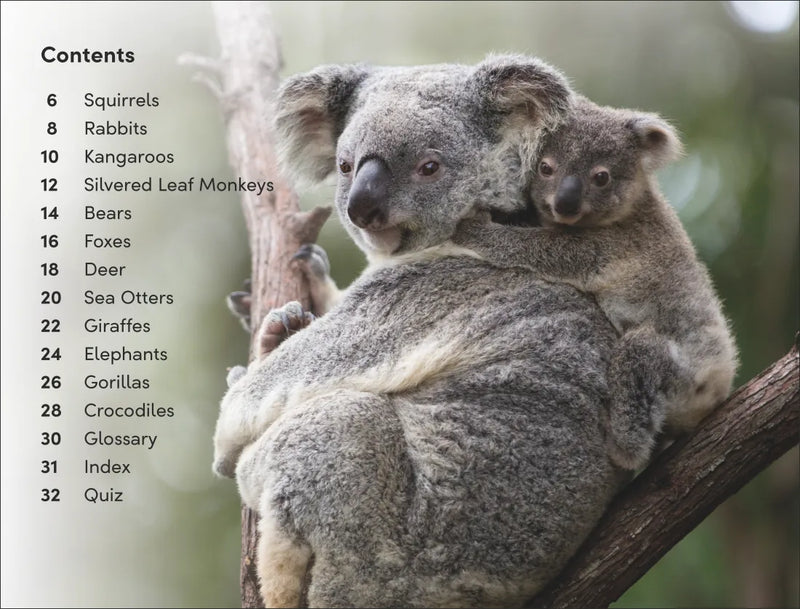 DK Super Readers Level 2 Wild Baby Animals US - Hardback