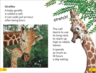 DK Super Readers Level 2 Wild Baby Animals US - Paperback / softback