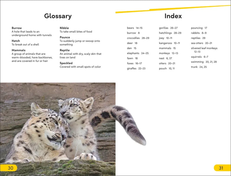 DK Super Readers Level 2 Wild Baby Animals US - Paperback / softback