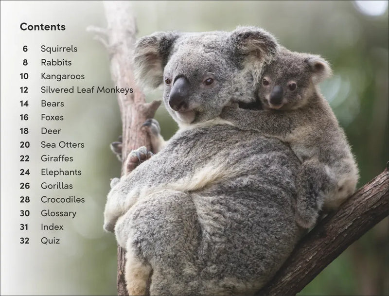 DK Super Readers Level 2 Wild Baby Animals US - Paperback / softback