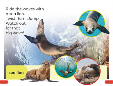 DK Super Readers Pre-Level Ocean Animals US - Paperback / softback