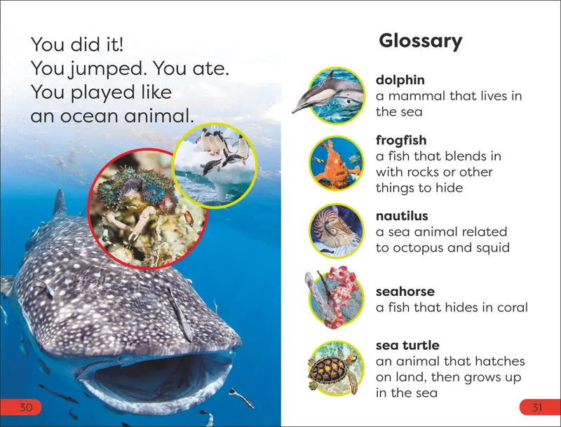 DK Super Readers Pre-Level Ocean Animals US - Paperback / softback