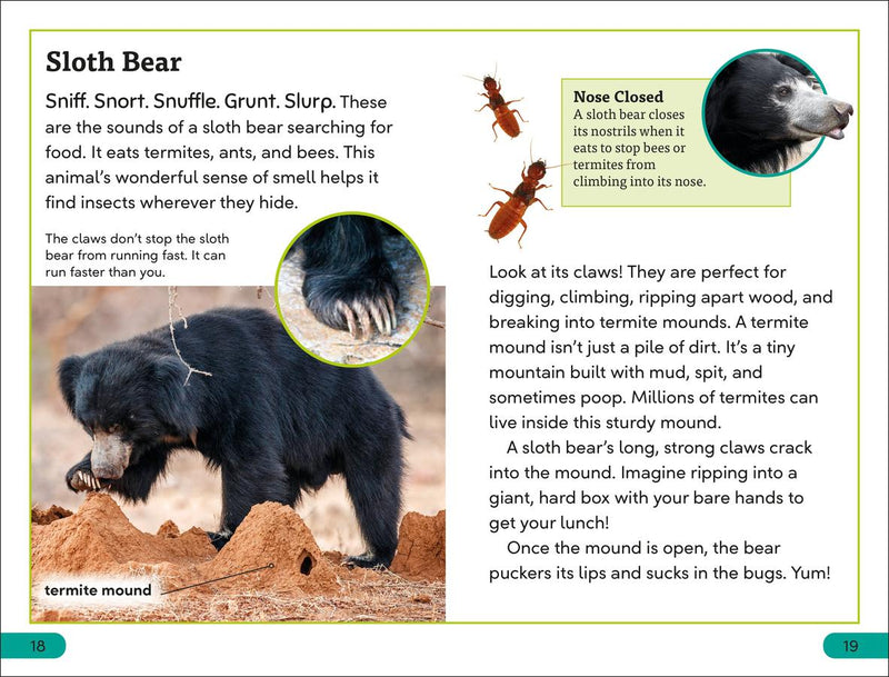 DK Super Readers Level 3 Claws US - Hardback