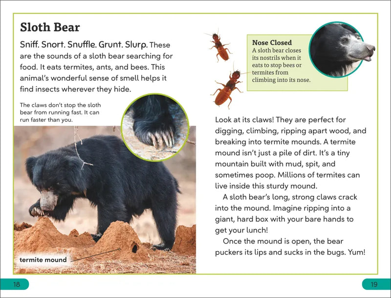 DK Super Readers Level 3 Claws US - Paperback / softback