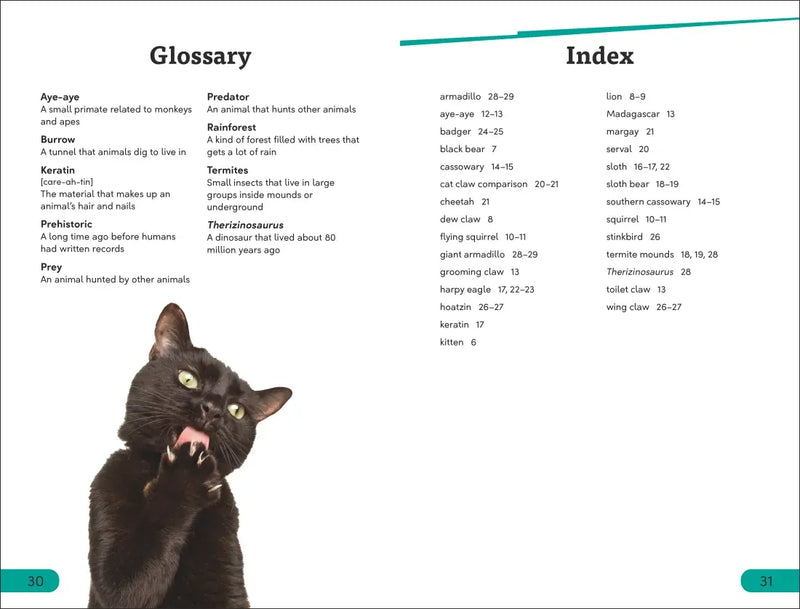 DK Super Readers Level 3 Claws US - Paperback / softback