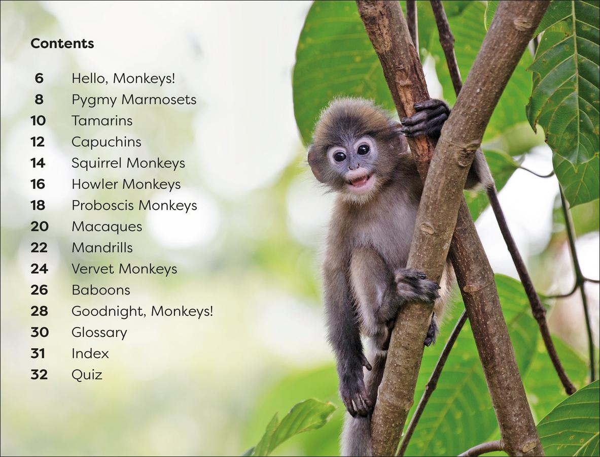 DK Super Readers Level 1 Monkeys US - Paperback / softback