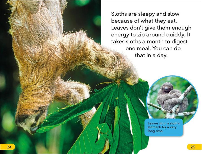 DK Super Readers Level 2 Sloths US - Hardback