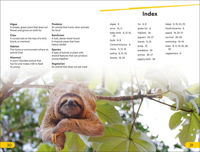 DK Super Readers Level 2 Sloths US - Hardback