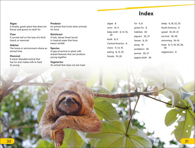 DK Super Readers Level 2 Sloths US - Hardback