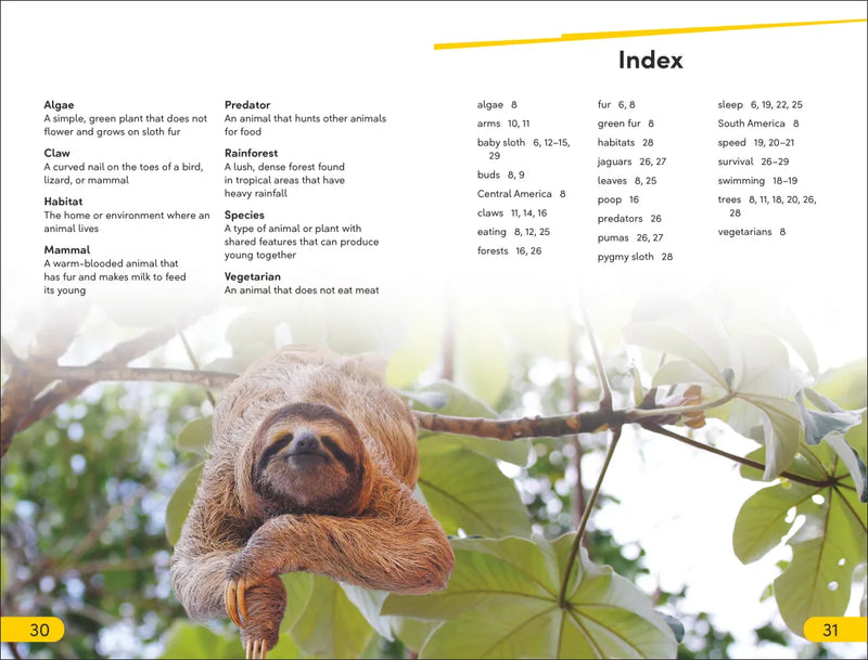 DK Super Readers Level 2 Sloths US - Paperback / softback