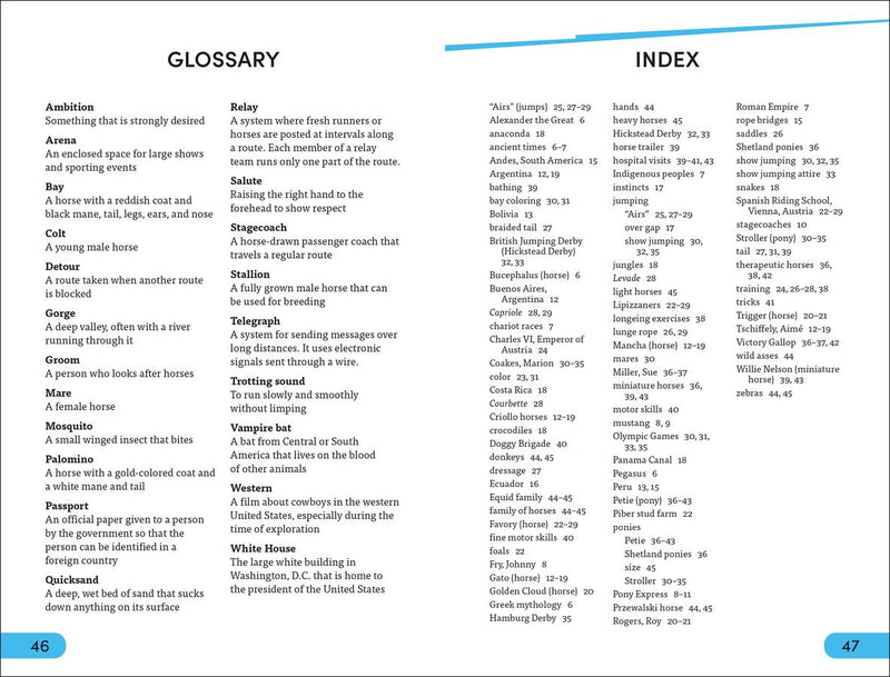 DK Super Readers Level 4 Horse Heroes US - Hardback