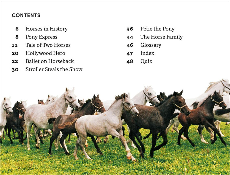 DK Super Readers Level 4 Horse Heroes US - Hardback