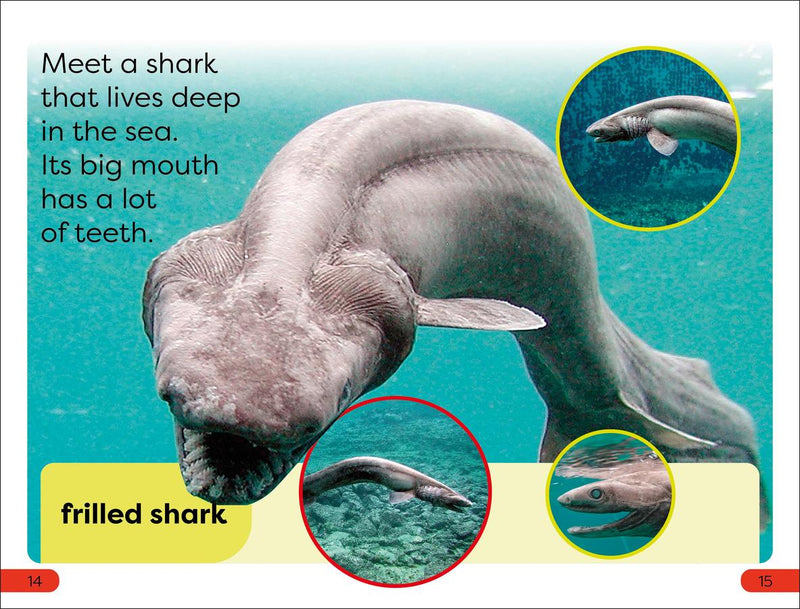 DK Super Readers Pre-Level Little Sharks Big Sharks US - Hardback