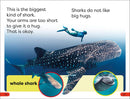 DK Super Readers Pre-Level Little Sharks Big Sharks US - Hardback