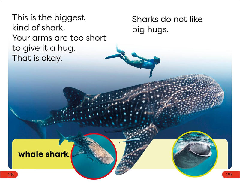DK Super Readers Pre-Level Little Sharks Big Sharks US - Hardback