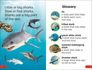 DK Super Readers Pre-Level Little Sharks Big Sharks US - Hardback