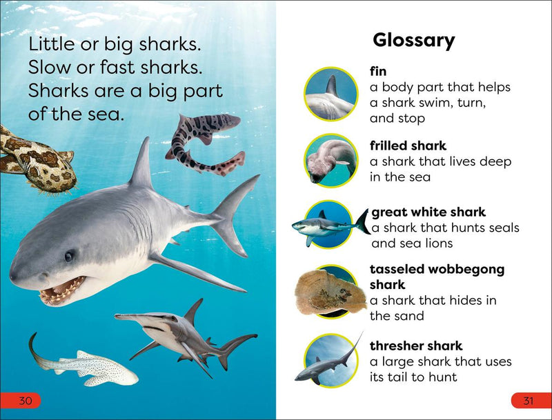 DK Super Readers Pre-Level Little Sharks Big Sharks US - Hardback